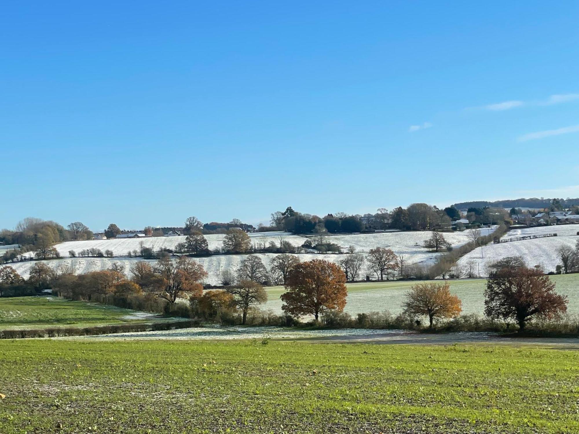 Bank Cottage Studio - Luxury Cotswolds Haven For Two Shipston-on-Stour Экстерьер фото